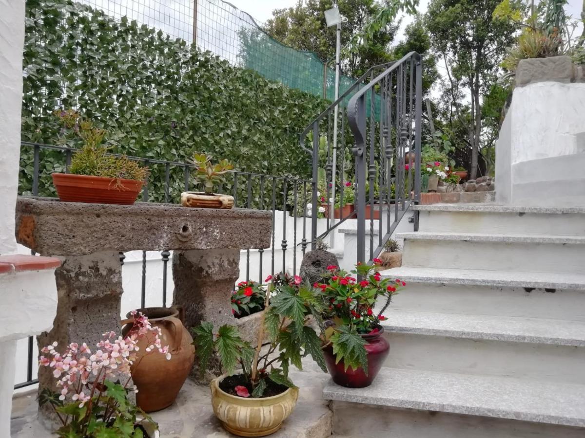 Appartamento Bouganville Magomadas ภายนอก รูปภาพ